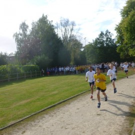 2016 scholenveldloop  159 - Sportraad Zaventem 